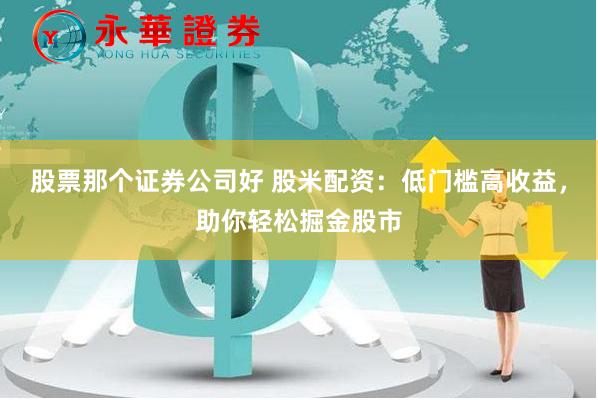 股票那个证券公司好 股米配资：低门槛高收益，助你轻松掘金股市