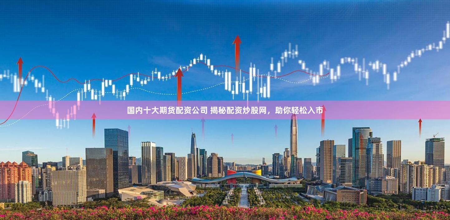 国内十大期货配资公司 揭秘配资炒股网，助你轻松入市