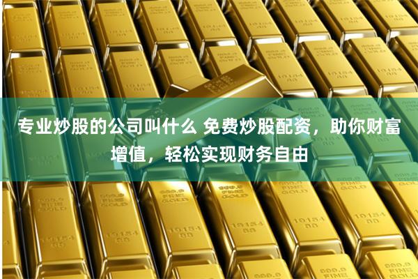 专业炒股的公司叫什么 免费炒股配资，助你财富增值，轻松实现财务自由