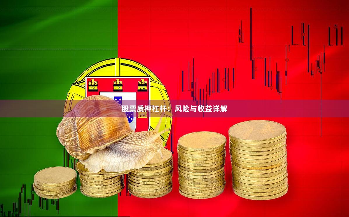 股票质押杠杆：风险与收益详解